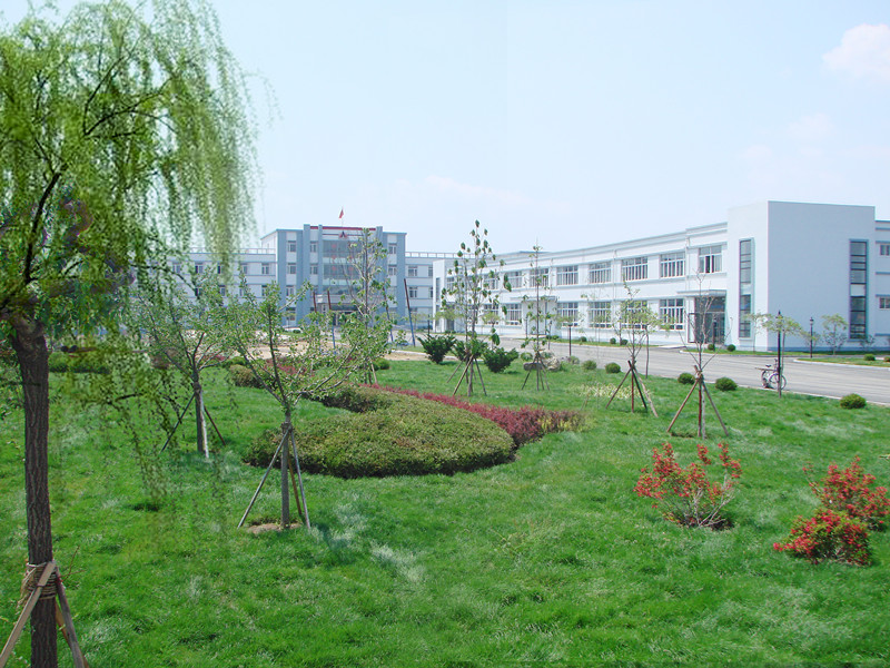 歡樂奧龍人，激昂青春夢(mèng)
